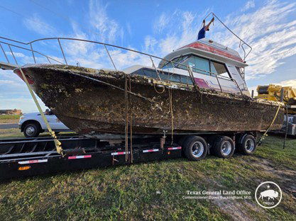 Vessel Removal