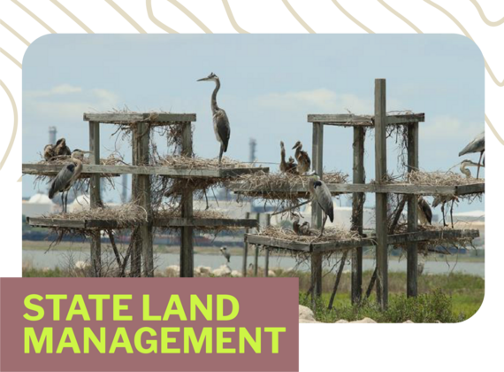 State Land Management