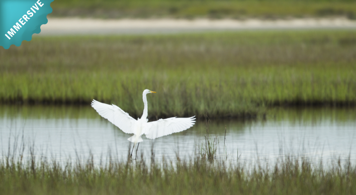 protected-spaces-banner